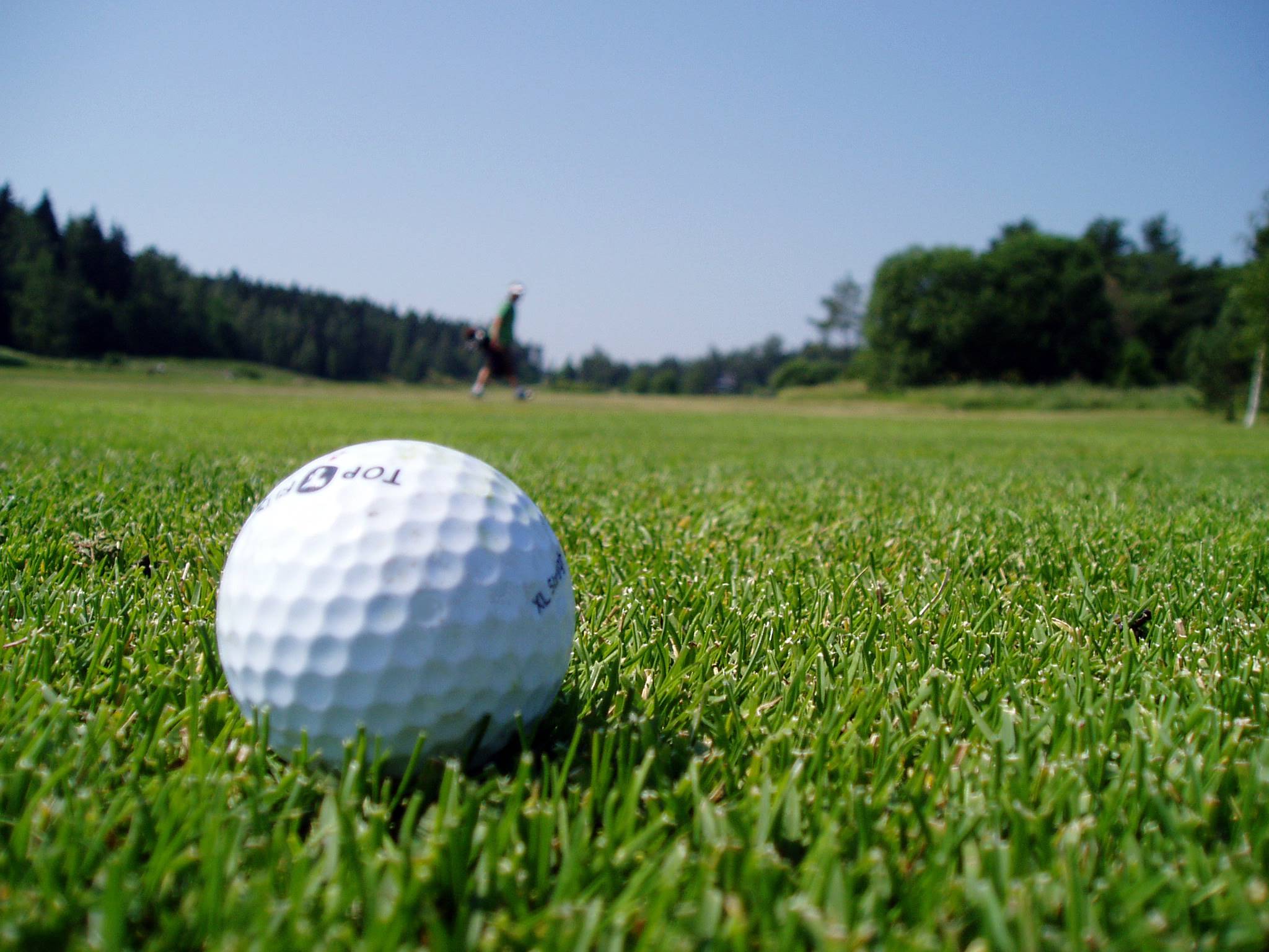 Открытие мини-гольф клуба golf