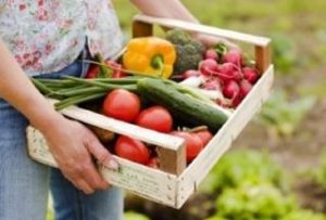 выращивание экологически чистых продуктов