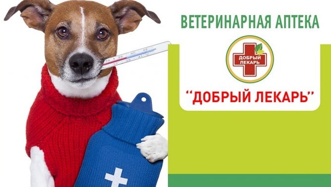 Как открыть ветеринарную аптеку? Ветаптека